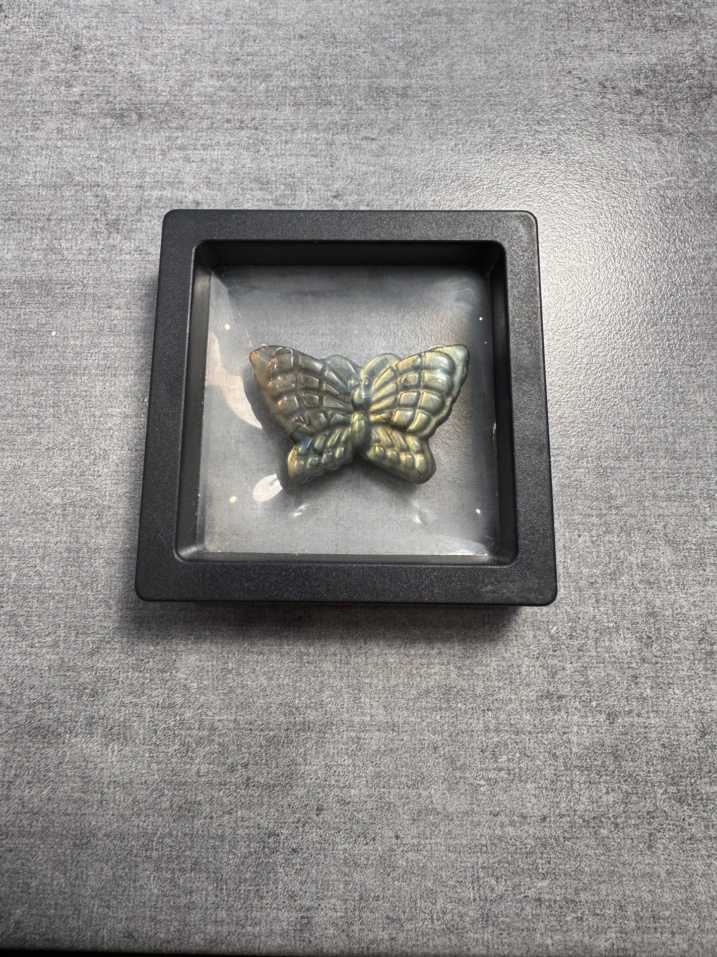 Papillon en Labradorite