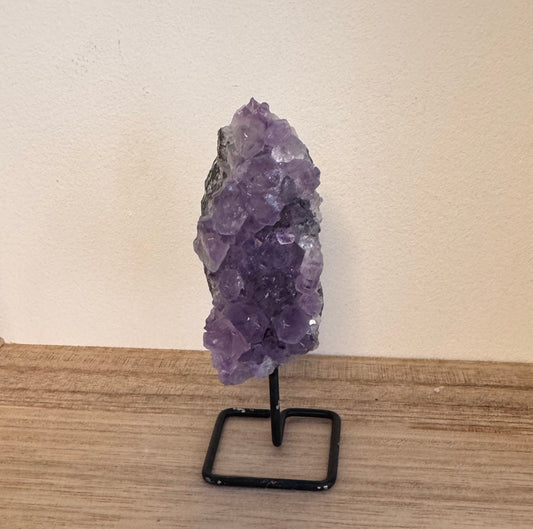 Améthyste sur pied
